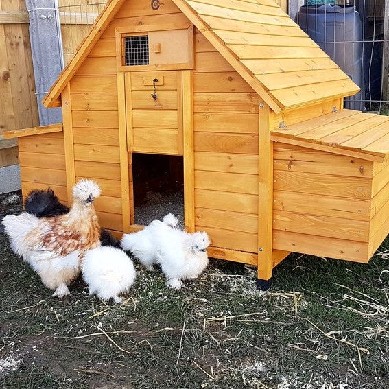 Chicken House – 6002N