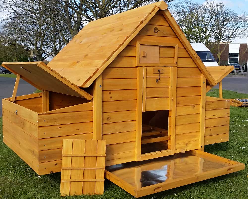 Chicken Coop & Run – 1000