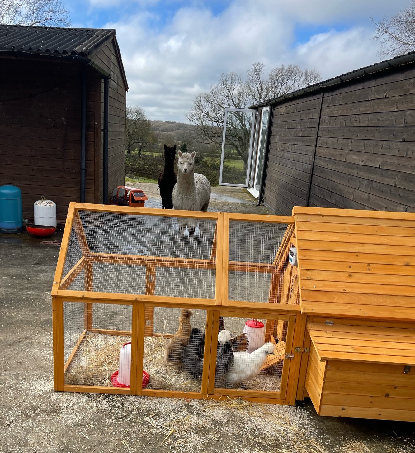 Chicken Coop & Run – 1000