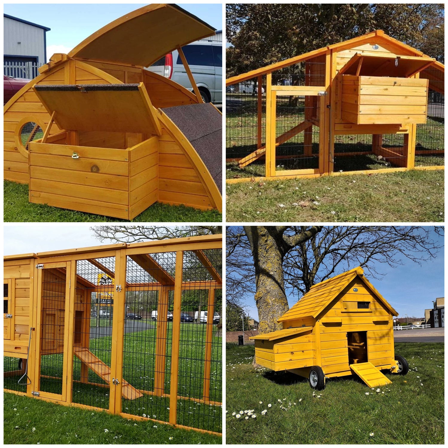 Chicken Coops