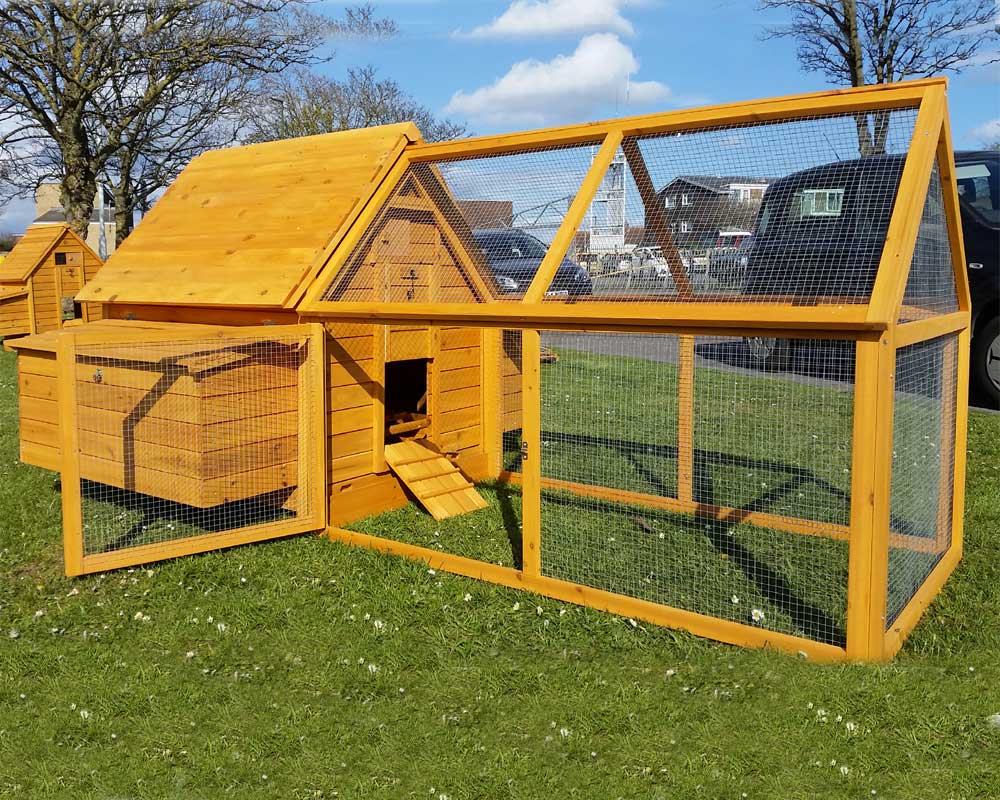 Chicken Coop & Run – 1000 – homelysolutionsuk